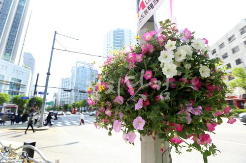 사본-구로구, 걸이화분으로 도심 속 꽃 갤러리 변신 1.jpg