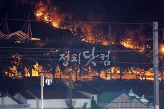 산불4.jpg