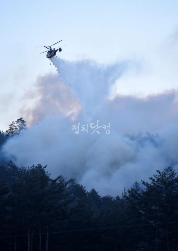 산불.jpg